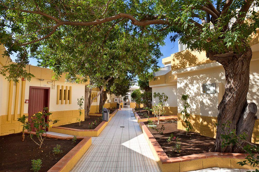 Apartamentos Plataneras Los Cristianos (Tenerife) Exterior foto